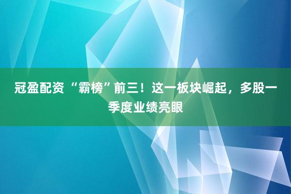 冠盈配资 “霸榜”前三！这一板块崛起，多股一季度业绩亮眼