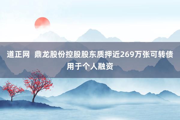 道正网  鼎龙股份控股股东质押近269万张可转债用于个人融资