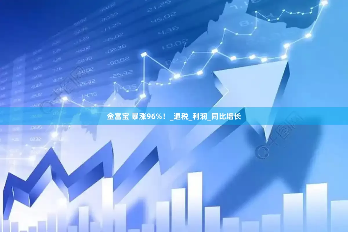 金富宝 暴涨96%！_退税_利润_同比增长