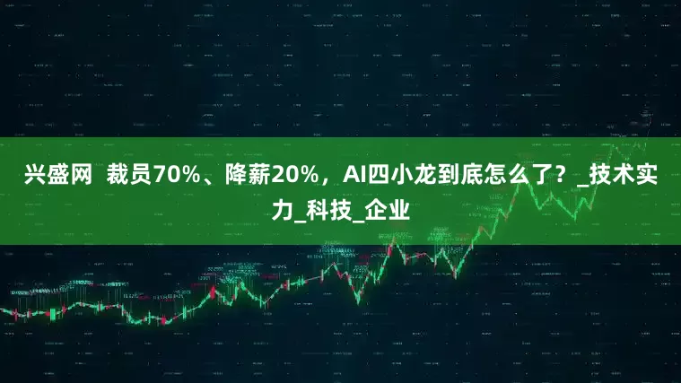 兴盛网  裁员70%、降薪20%，AI四小龙到底怎么了？_技术实力_科技_企业