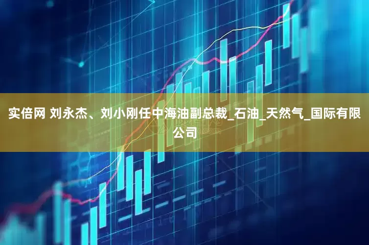 实倍网 刘永杰、刘小刚任中海油副总裁_石油_天然气_国际有限公司