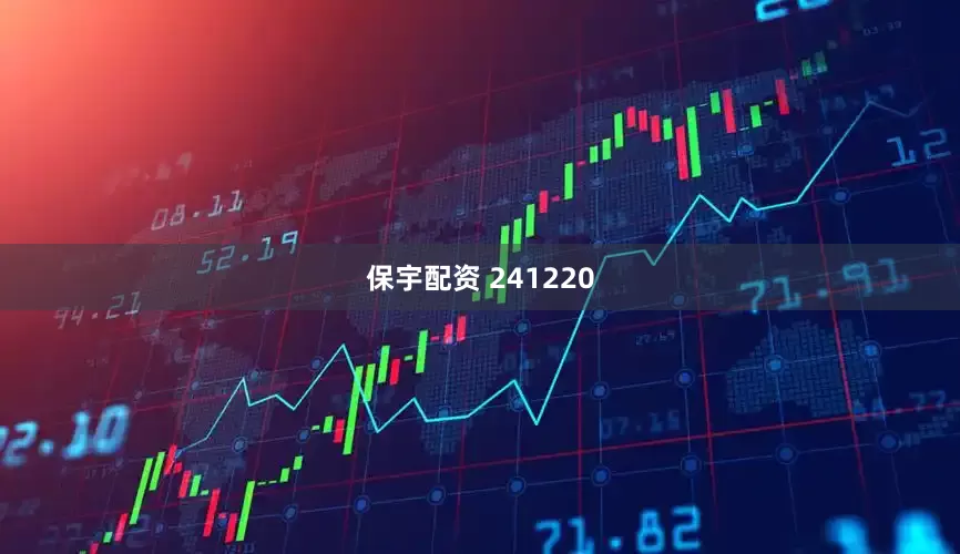 保宇配资 241220